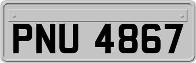 PNU4867