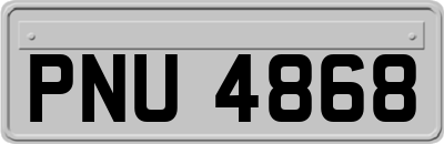 PNU4868