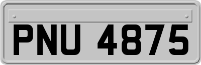 PNU4875