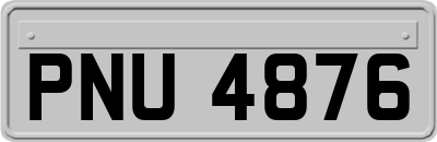 PNU4876