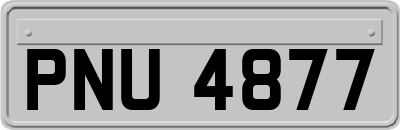 PNU4877