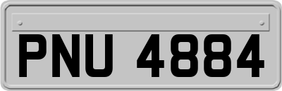 PNU4884
