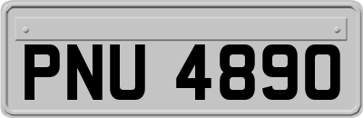 PNU4890