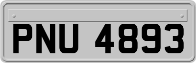 PNU4893