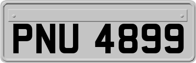PNU4899