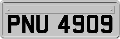 PNU4909