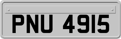 PNU4915