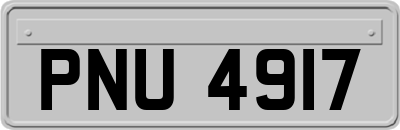 PNU4917