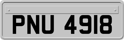 PNU4918