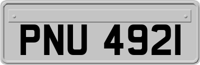 PNU4921