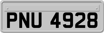PNU4928