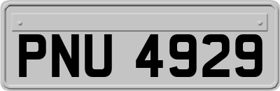 PNU4929