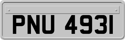 PNU4931