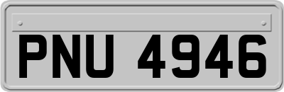 PNU4946