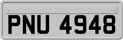 PNU4948