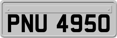 PNU4950