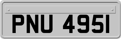 PNU4951