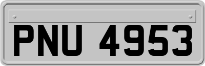 PNU4953