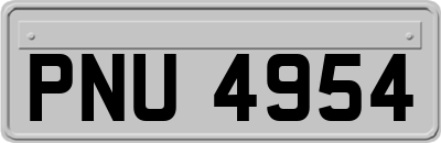 PNU4954