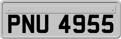PNU4955