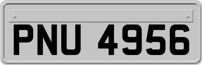 PNU4956
