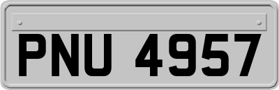 PNU4957