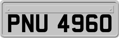 PNU4960