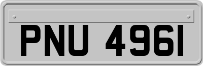 PNU4961