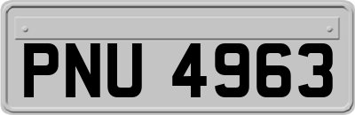 PNU4963