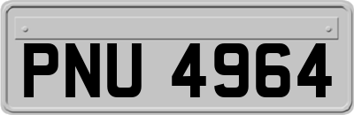 PNU4964