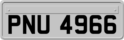 PNU4966