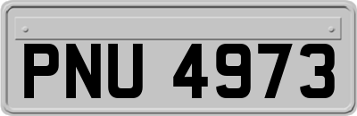 PNU4973