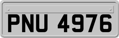 PNU4976