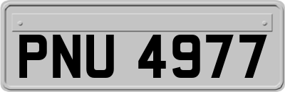 PNU4977