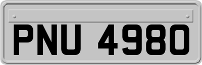 PNU4980