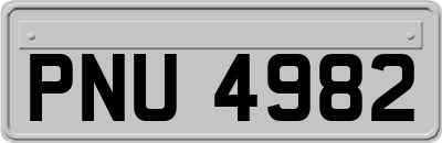 PNU4982