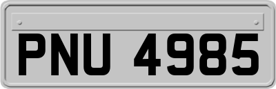 PNU4985