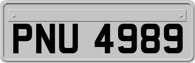 PNU4989