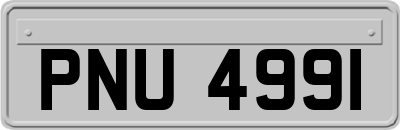 PNU4991
