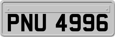 PNU4996