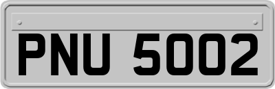 PNU5002