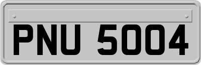 PNU5004