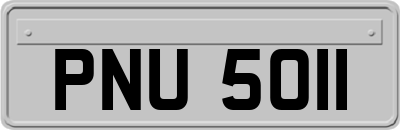 PNU5011