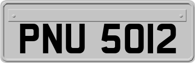PNU5012
