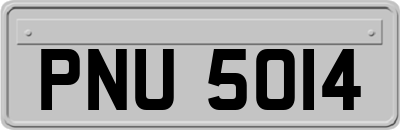 PNU5014
