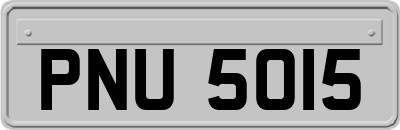 PNU5015