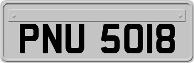PNU5018