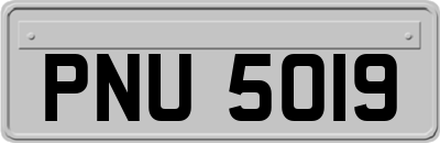 PNU5019