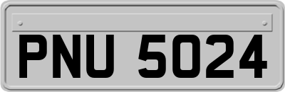PNU5024