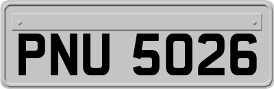 PNU5026